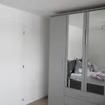 M *