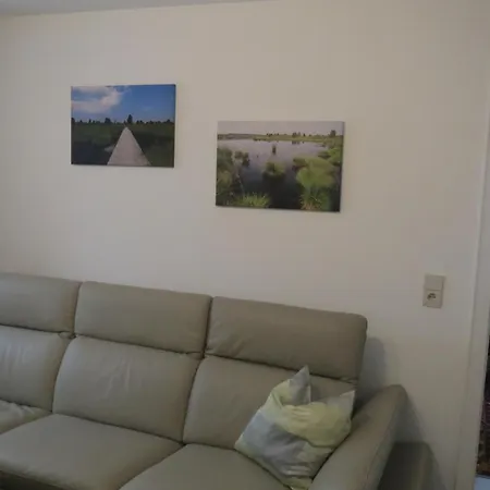 M *